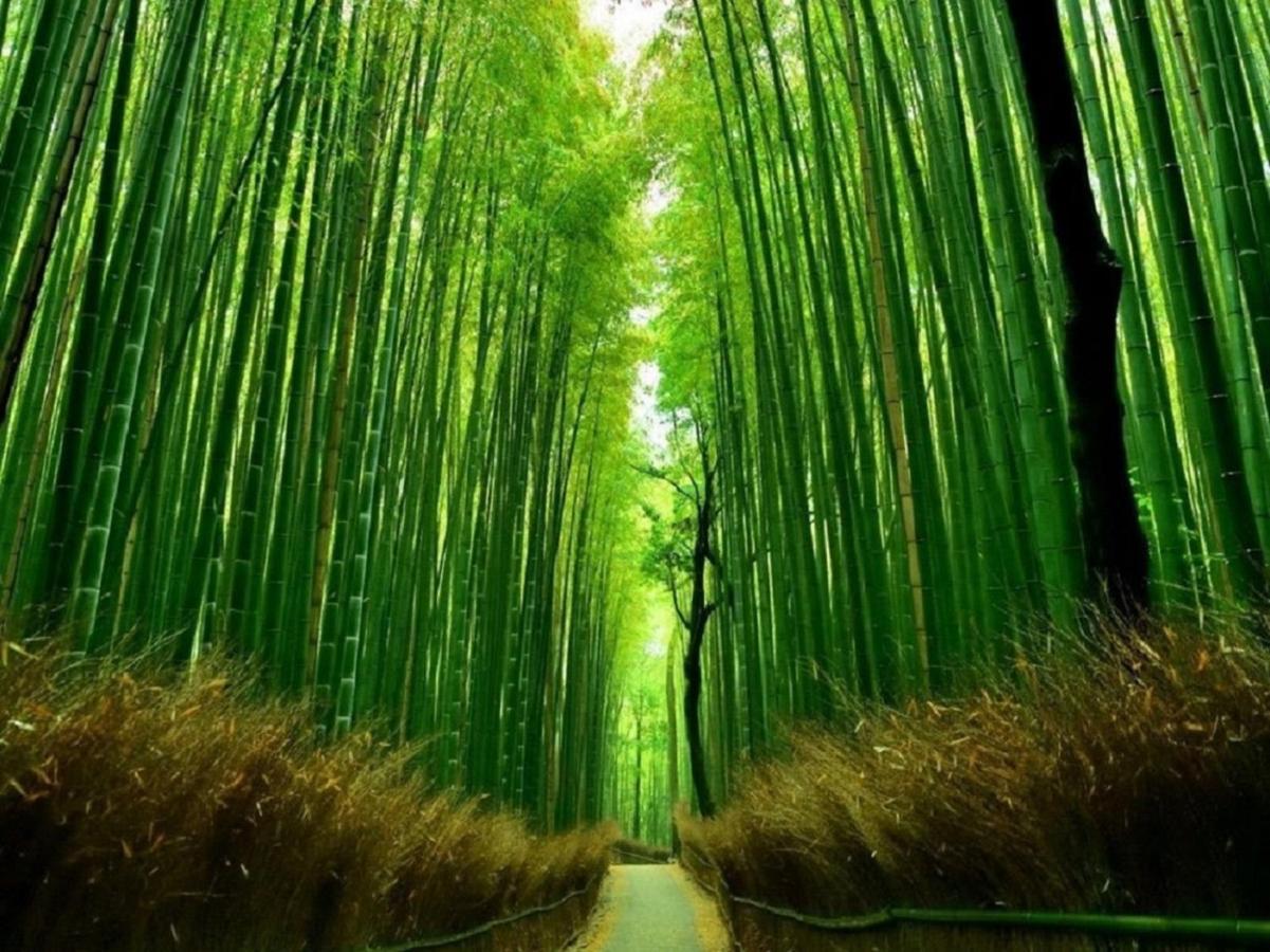 行灯離れ京都五条 Andon Hanare Kyoto Gojo 外观 照片